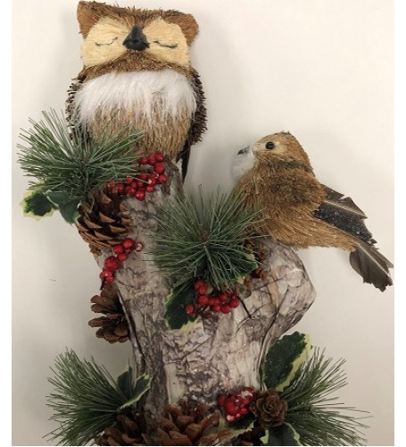 OWL AND BIRD ON LOG 